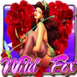 Bocoran RTP Slot Mega888 Wild Fox